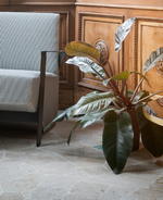 Why You Need The Flos IC Light In Your Living Room