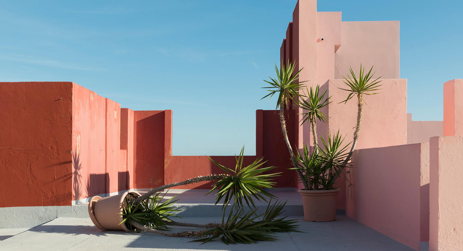 Andres Gallardo's Images Reveal The Fantasy That Is La Muralla Roja