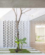 How Indoor Courtyards Embrace The Residents Of The Newman House