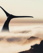 Justin Peters Creates A Sensational &amp; Surreal World Out Of Stock Images