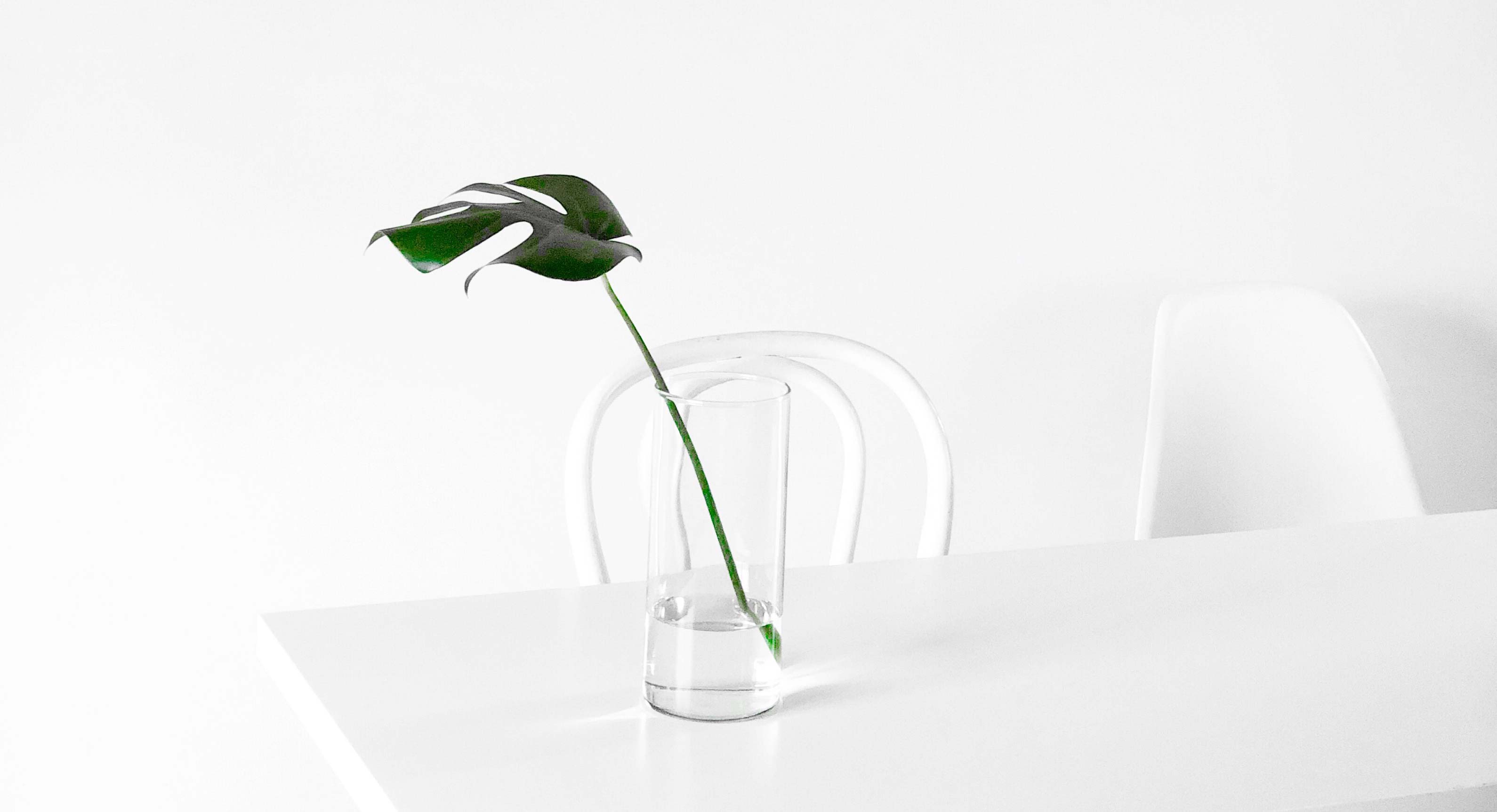 Who We’re Following: Joeri Evers & Pieter Peulen aka @Hardwearing