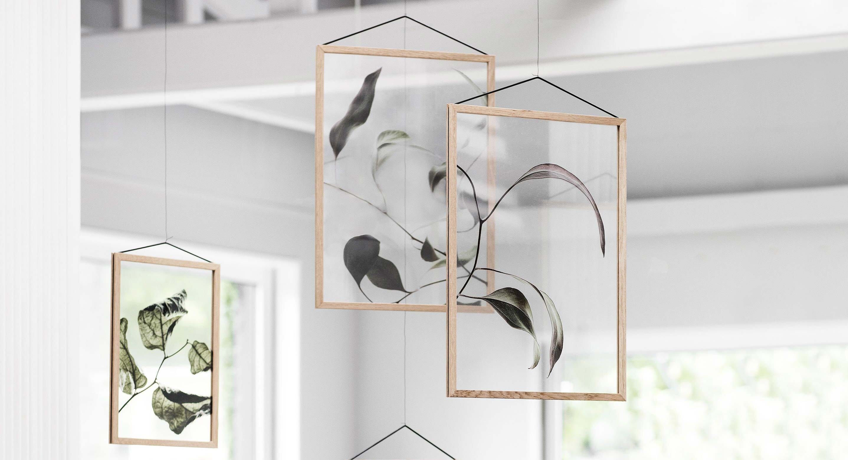 Three Danish Design Giants Join Forces To Release Transparent Botanical Prints