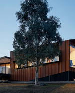 This Award-Winning Minimalist Home is Small Yet Spectacular  