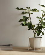Minimal Plant Pots To Liven Up Your Home