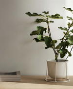 OPUMO x Patch: The 5 Best OPUMO Pots For Your Patch Plants