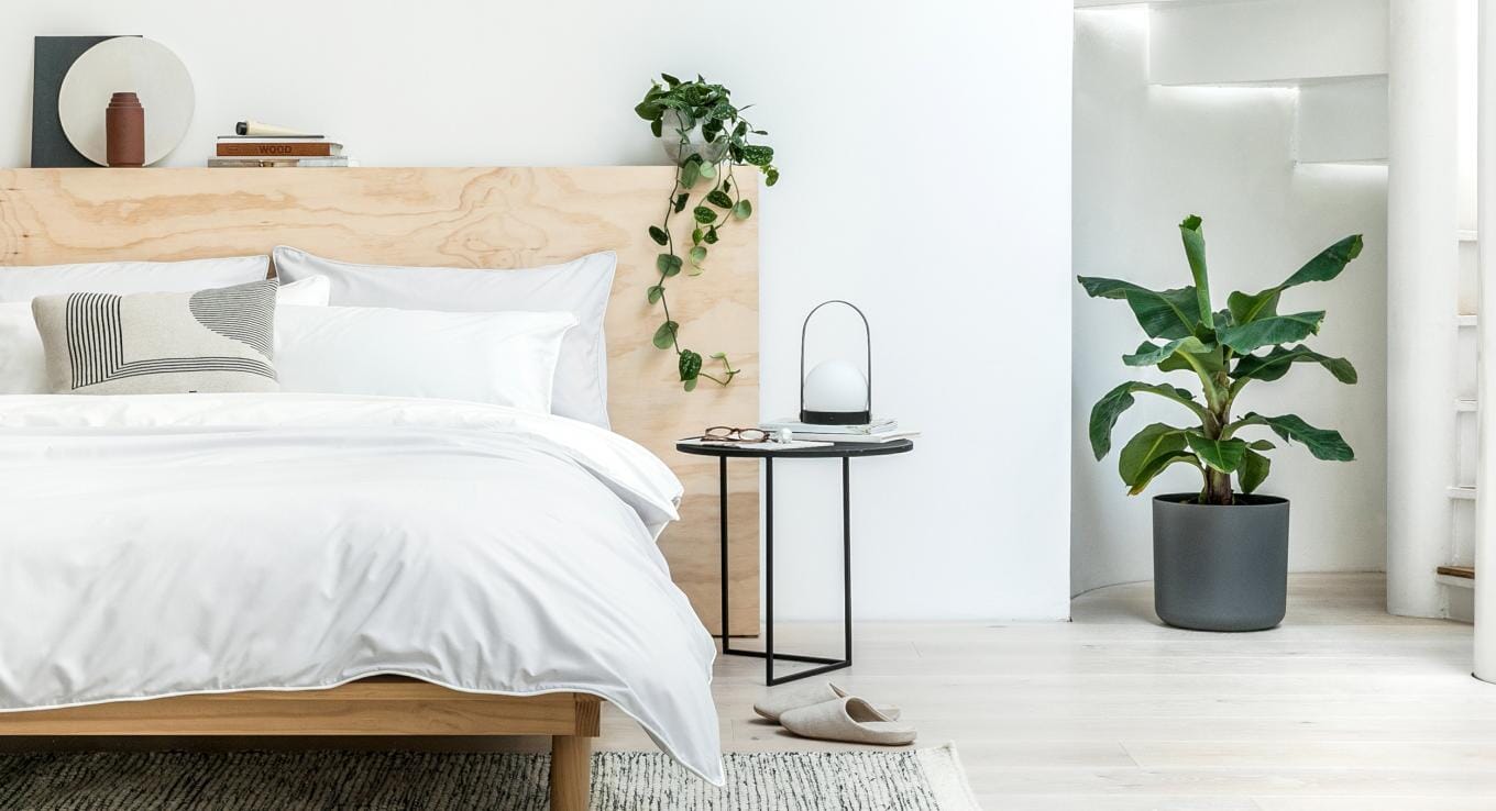 OPUMO x Patch: The Health Benefits Of Having Plants In The Home