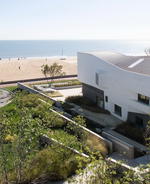 House T: Striking Angles in local materials