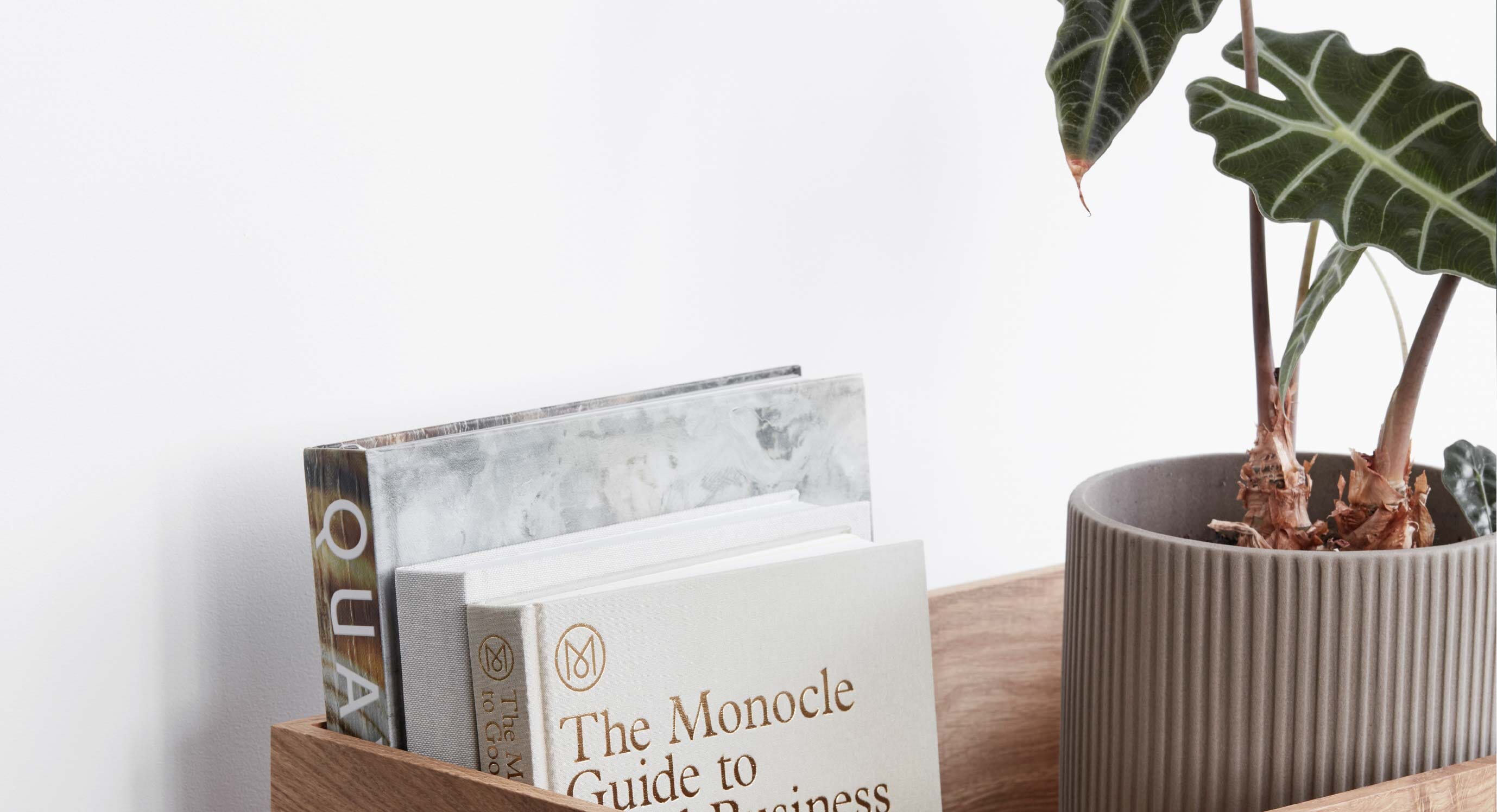 How to introduce plants into your home