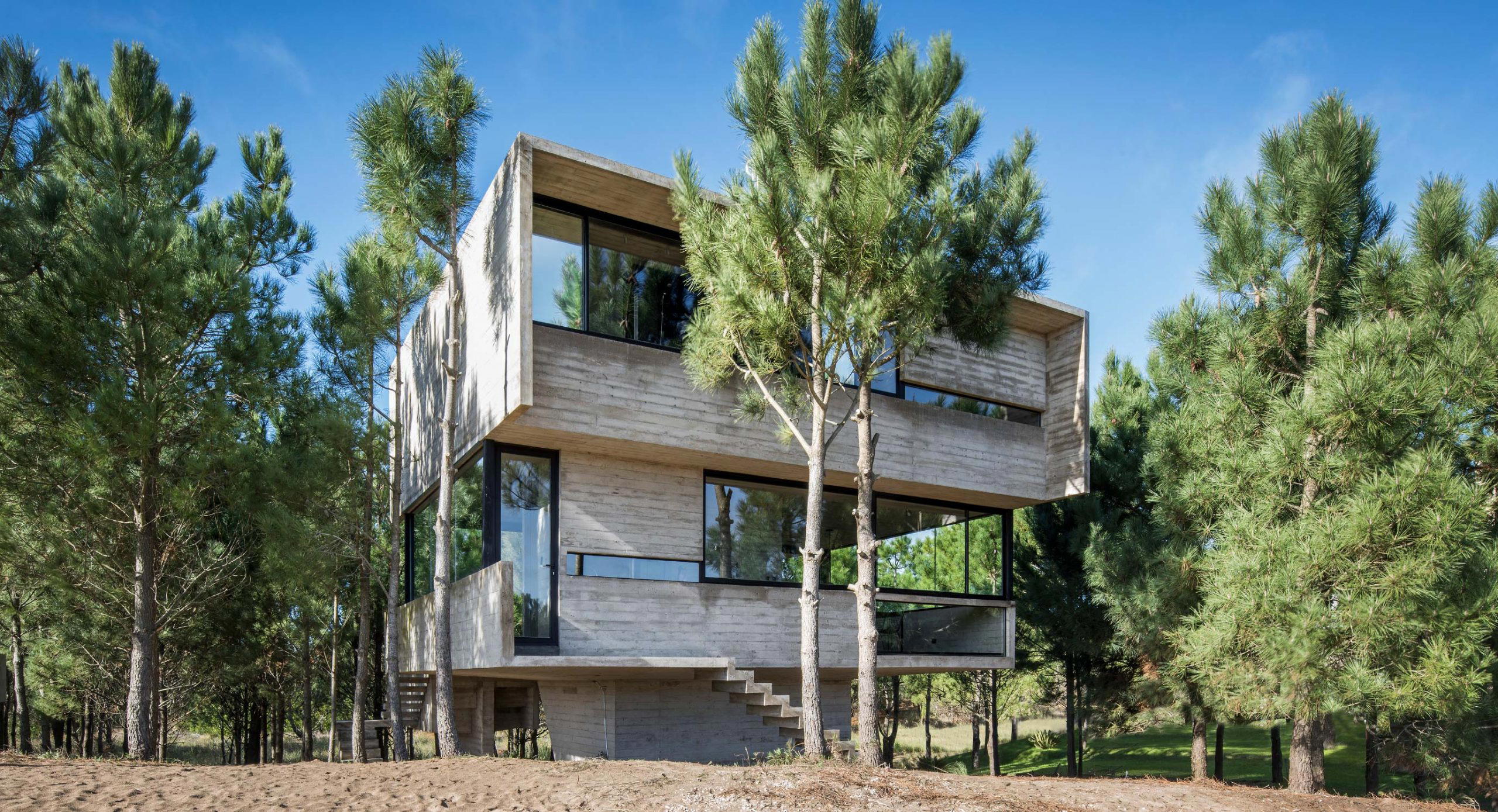 House in the Trees: Minimal footprint on surroundings