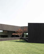 Claw House: Framing the surroundings