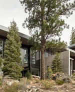 Creek House: Inclusion of nature