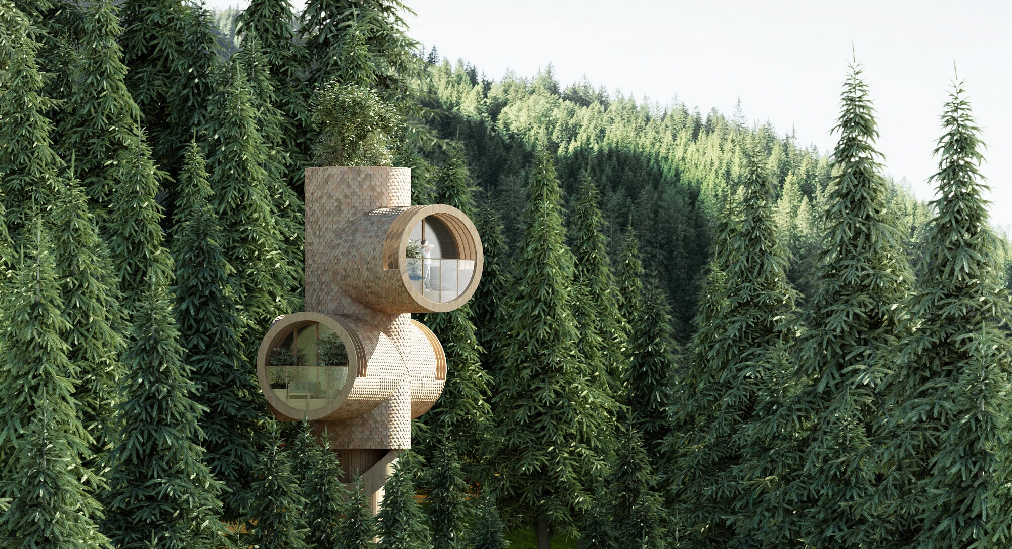 Bert Treehouse: The future of eco-tourism