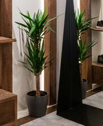 Support the independents: Contemporary minimalism