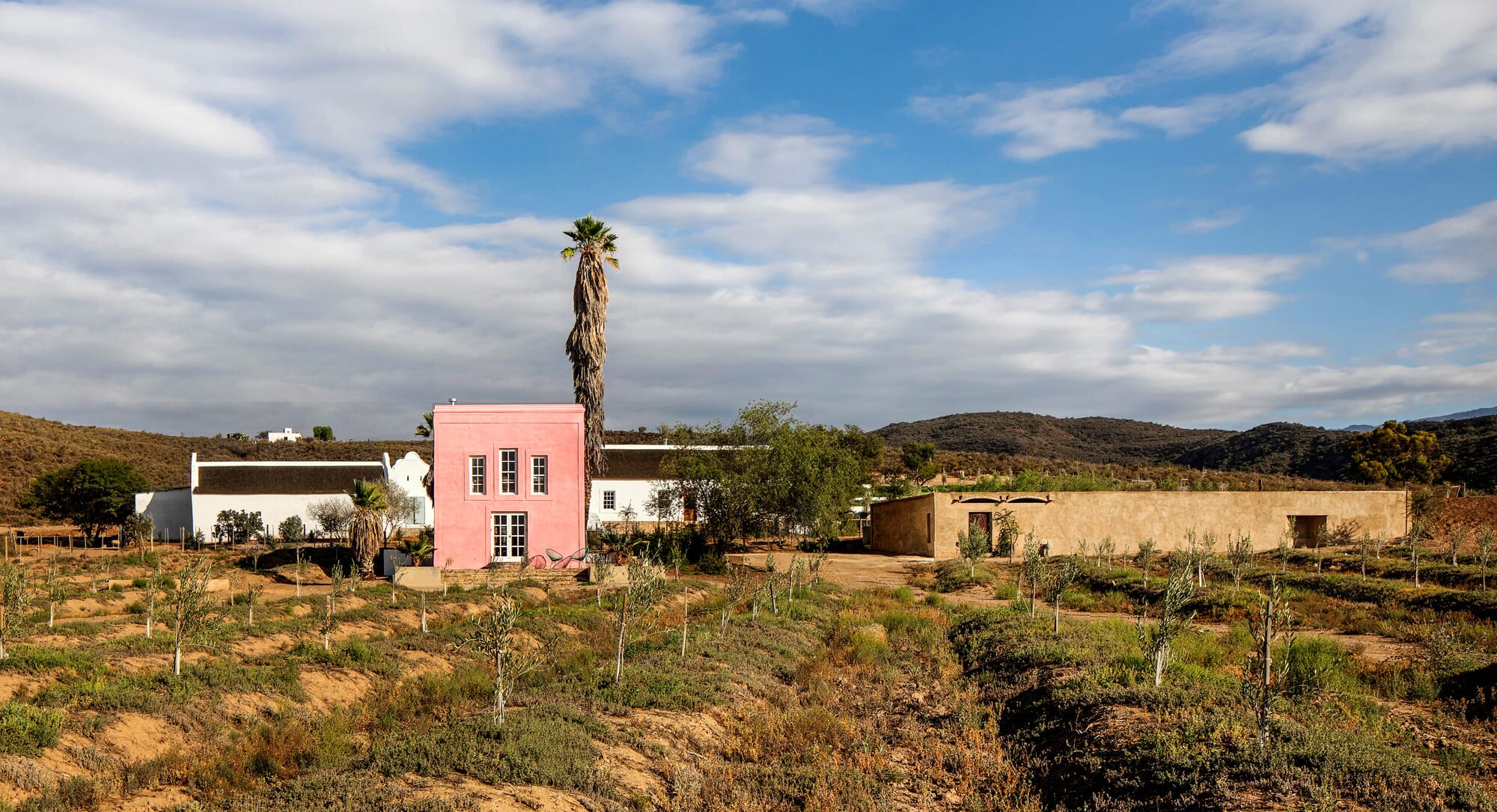 Restored and revived: Bringing new life to Buffelsdrift Farm