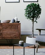 Swoon's Scandi-inspired designs