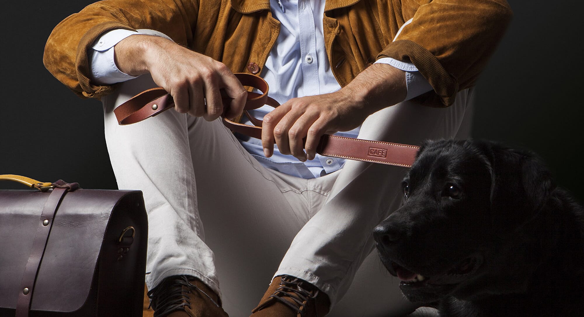 Luxury dog accessories for an on-point pooch