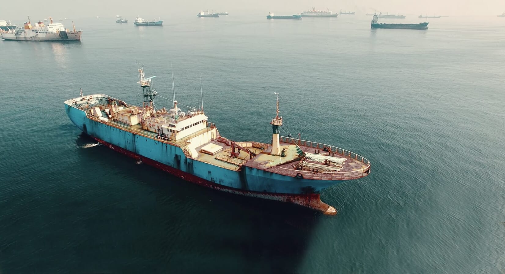 Formula One, fungi - and a famous drag queen: 5 of the best Netflix documentaries