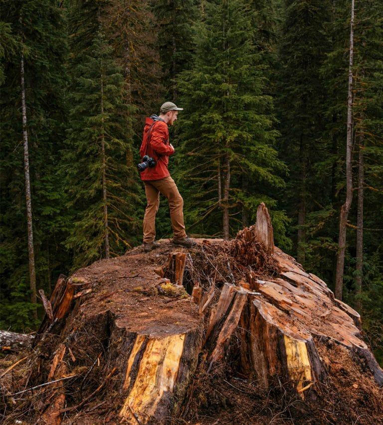 Patagonia sizing guide Find your perfect fit for the great outdoors