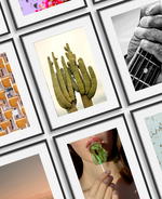 House of Spoils: Museum-quality art for the home