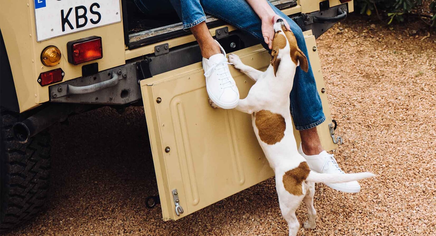 Best white trainers for men in 2026