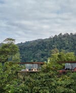 A minimalist dream in Costa Rica