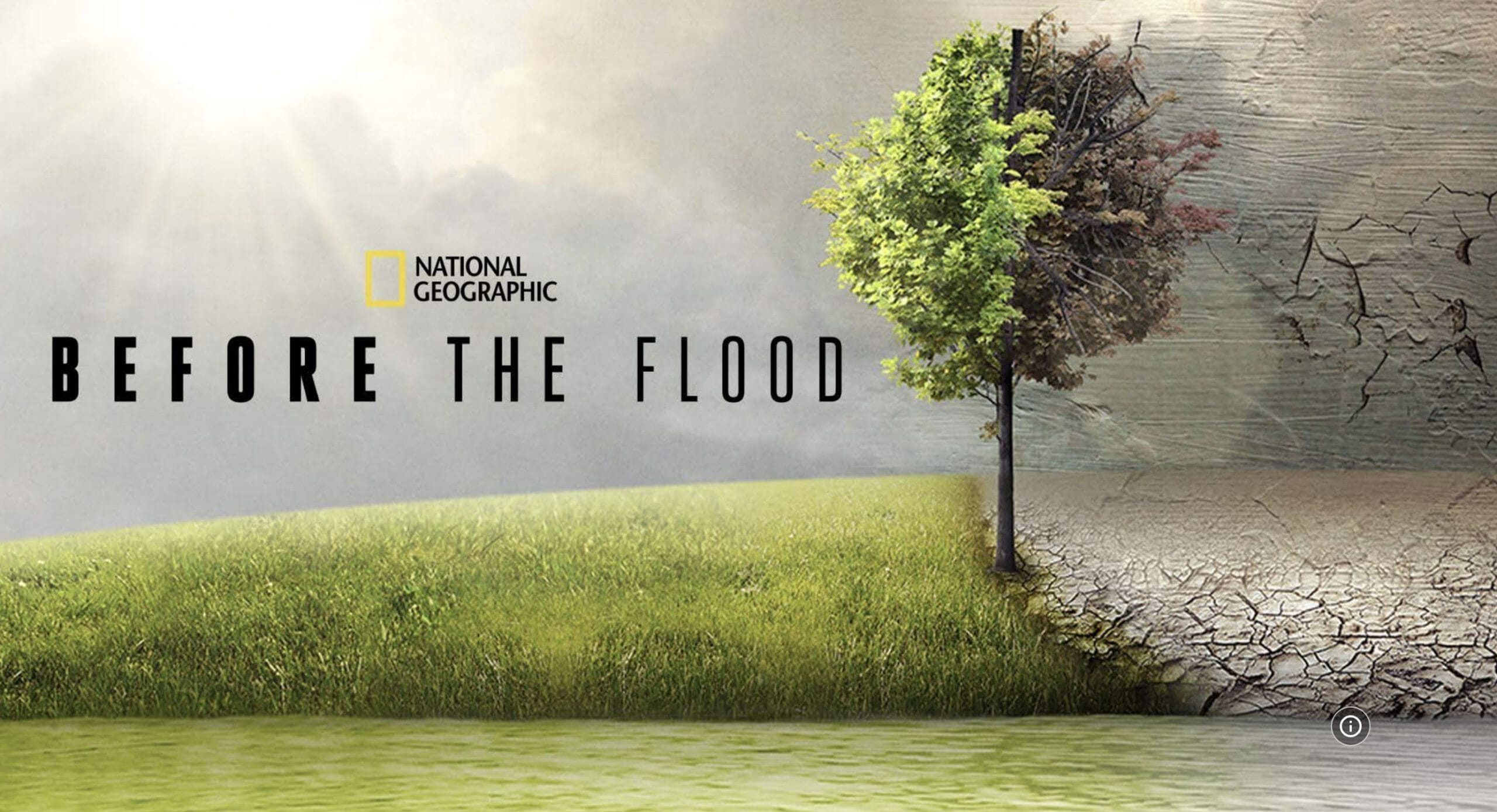 12 sustainability documentaries to inspire change and entertain