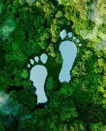 The ins &amp; outs of carbon offsetting for the conscious consumer