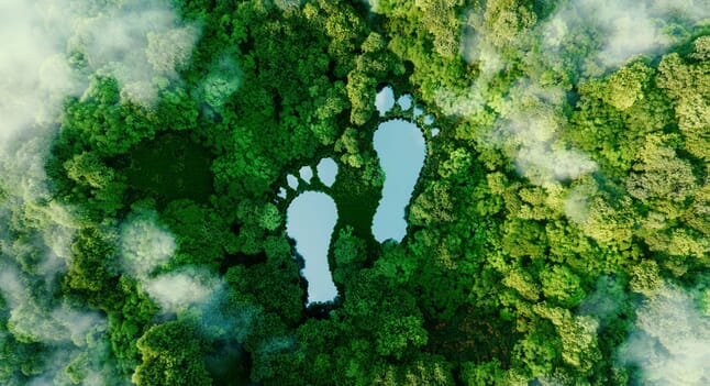 The ins & outs of carbon offsetting for the conscious consumer