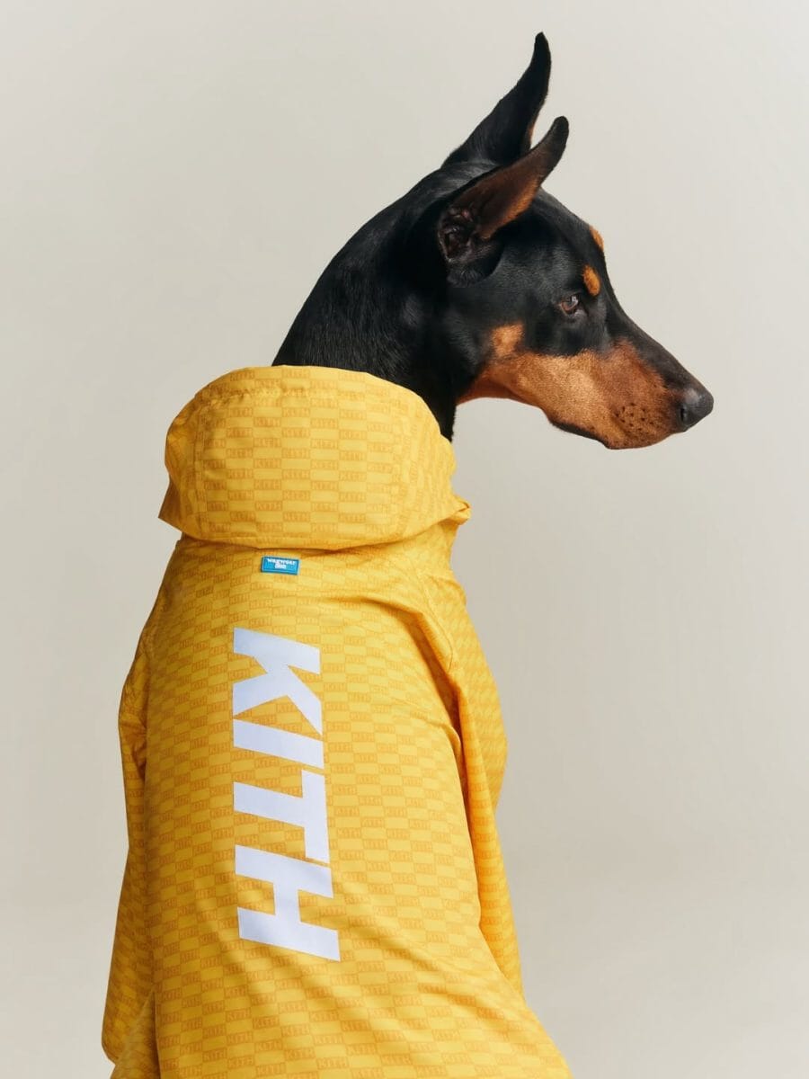 KITH streetwear Best Streetwear Brands