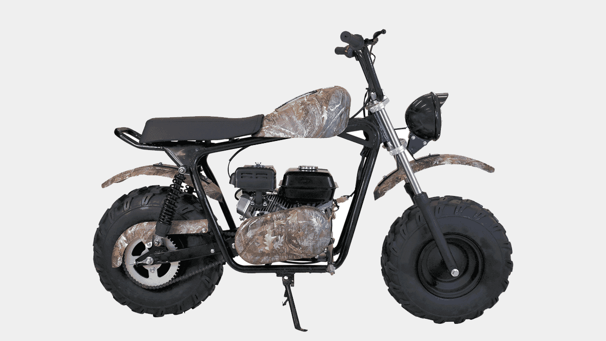 Large mini bikes online for adults