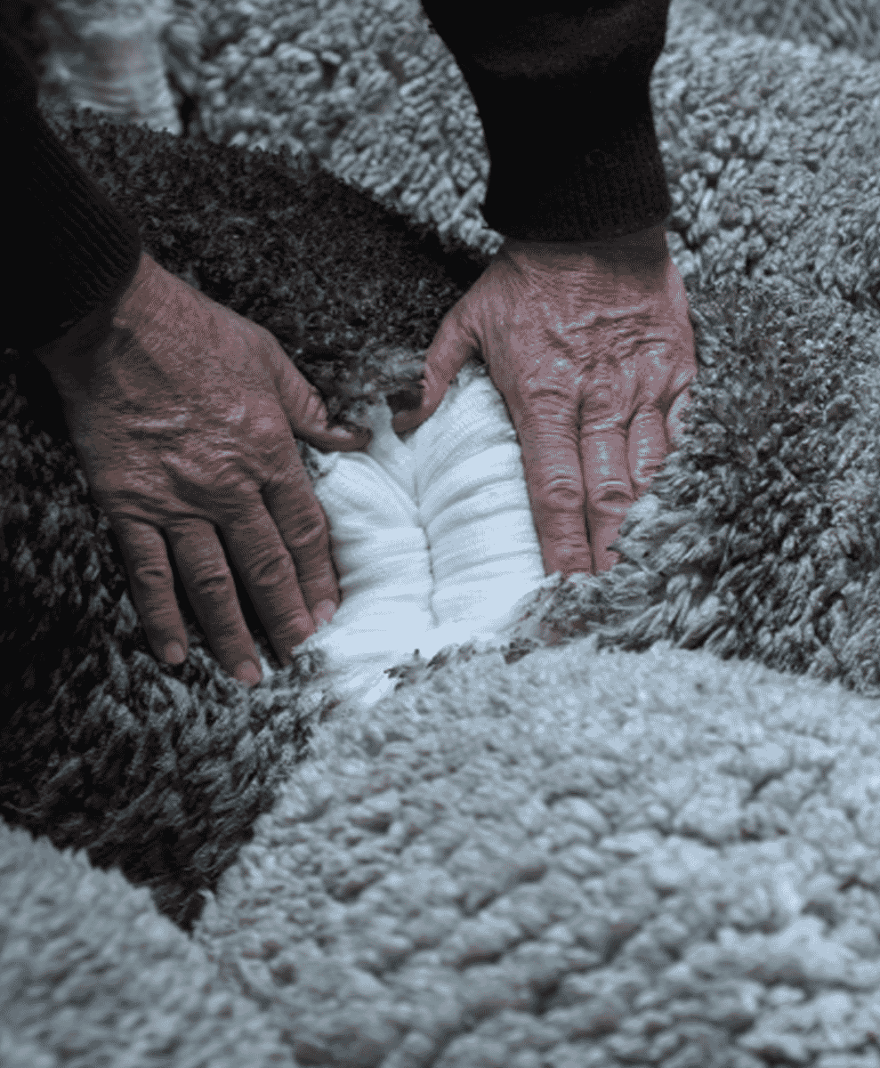 Everything you need to know about ASKET