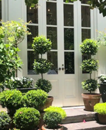 8 New Orleans Airbnbs for a captivating Crescent City getaway