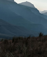 Peak Performers: The Best Arc'teryx Jackets for Every Adventure