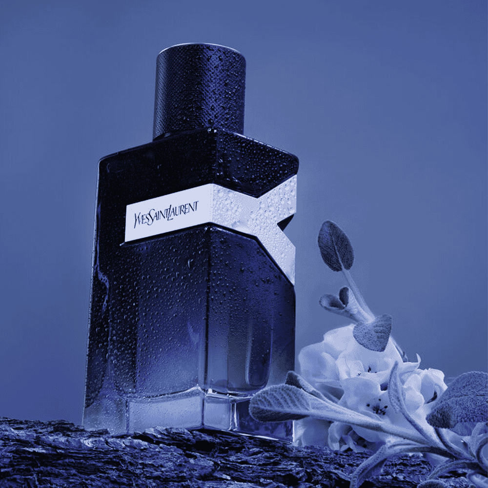 The 10 Best Long Lasting Perfumes for Men in 2024 OPUMO Magazine