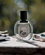 Fragrances to take you from day to night