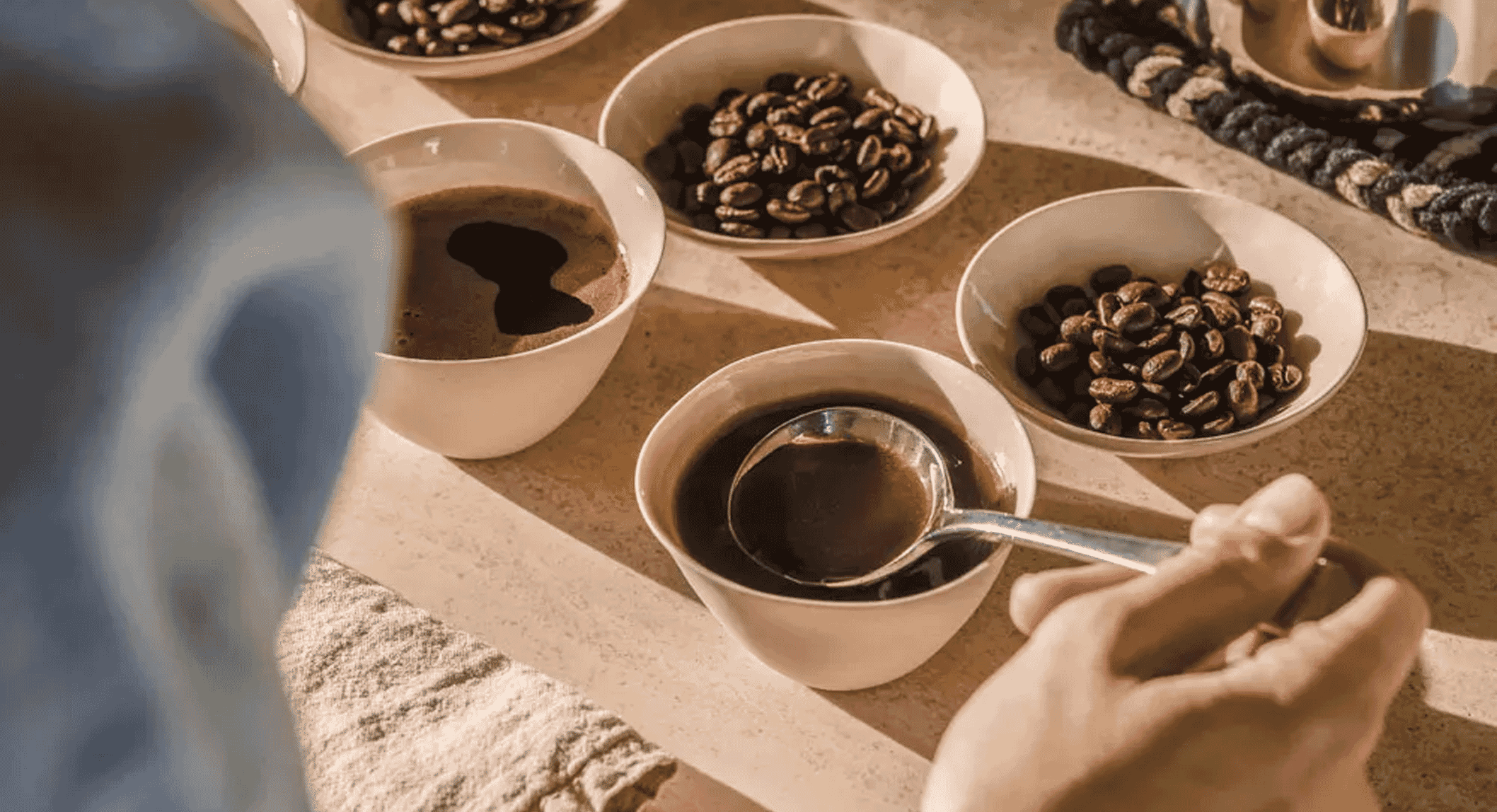 Unravelling the secrets behind superior French press brews