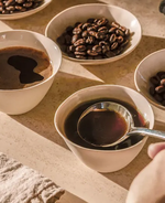 Unravelling the secrets behind superior French press brews