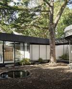 Black modern house celebrates nature: A Room Around A Tree by Tikari Works