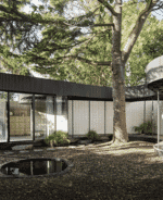 Black modern house celebrates nature: A Room Around A Tree by Tikari Works