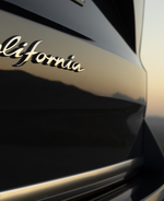 2025 Volkswagen Camper Van: Welcome to the Hotel California
