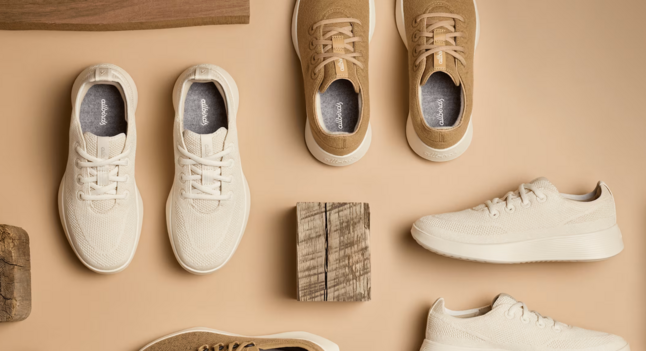 Allbirds: Spearheading the Sustainable Sneaker Revolution