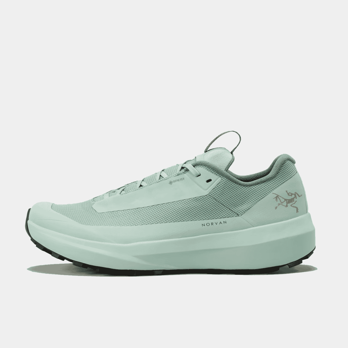 Norvan LD 4 GTX Shoe Men's Arc'teryx