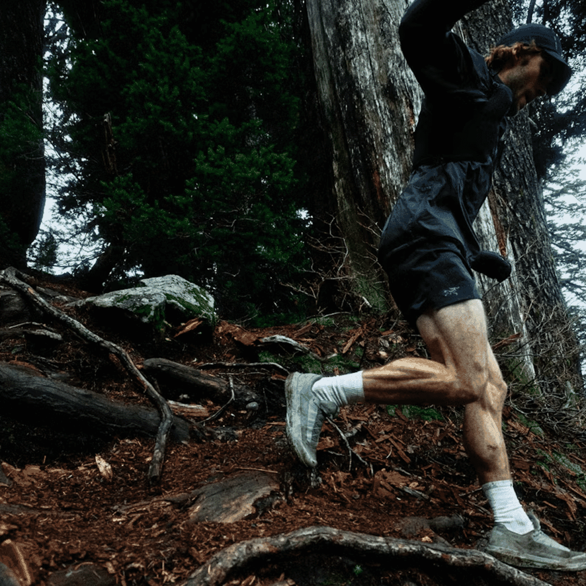 Norvan LD 4 GTX Shoe Men's Arc'teryx