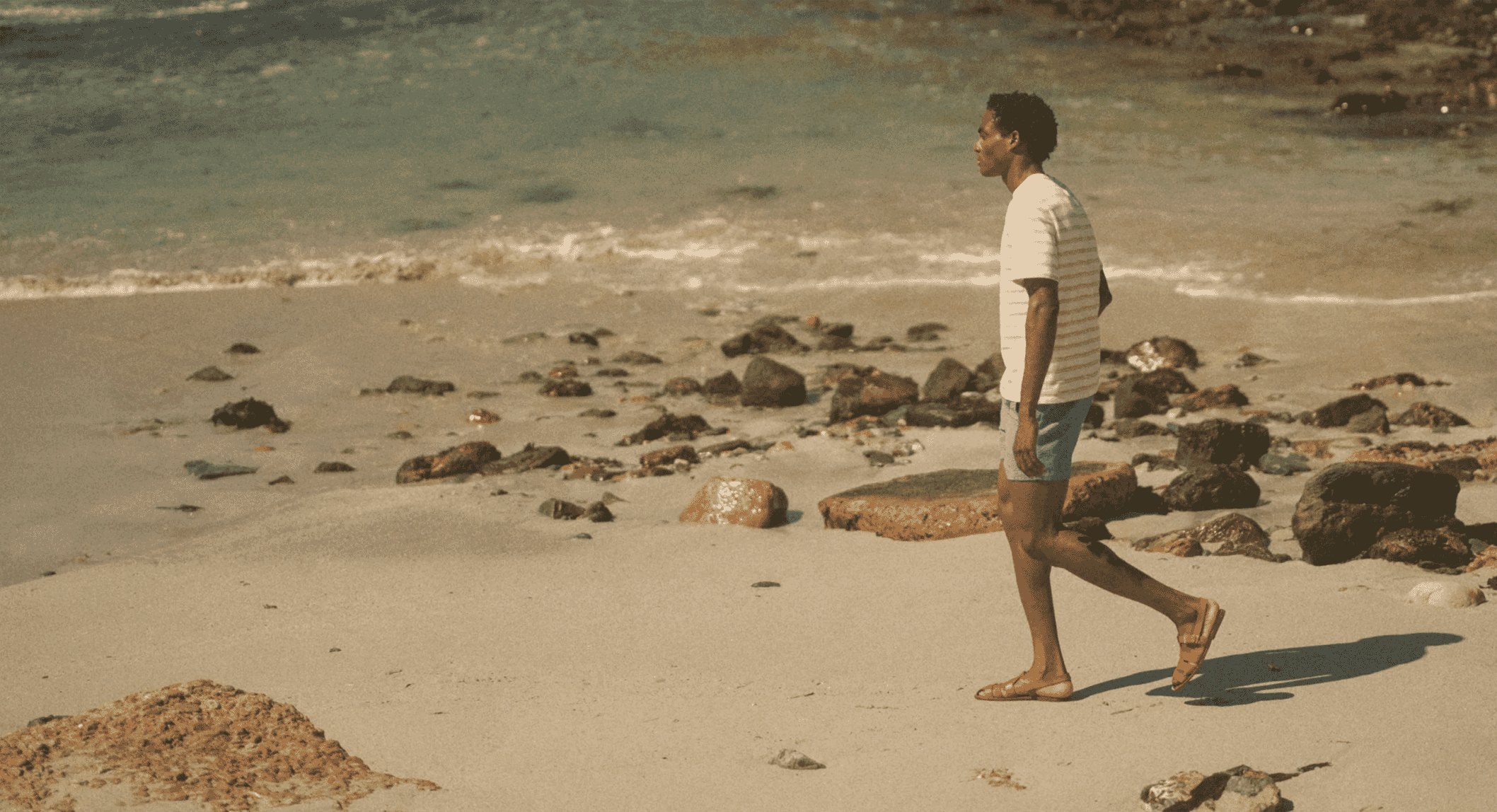 The Shorts Edit 2026