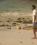 The Shorts Edit 2026