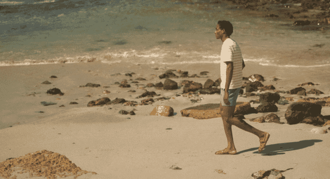 The Shorts Edit 2026