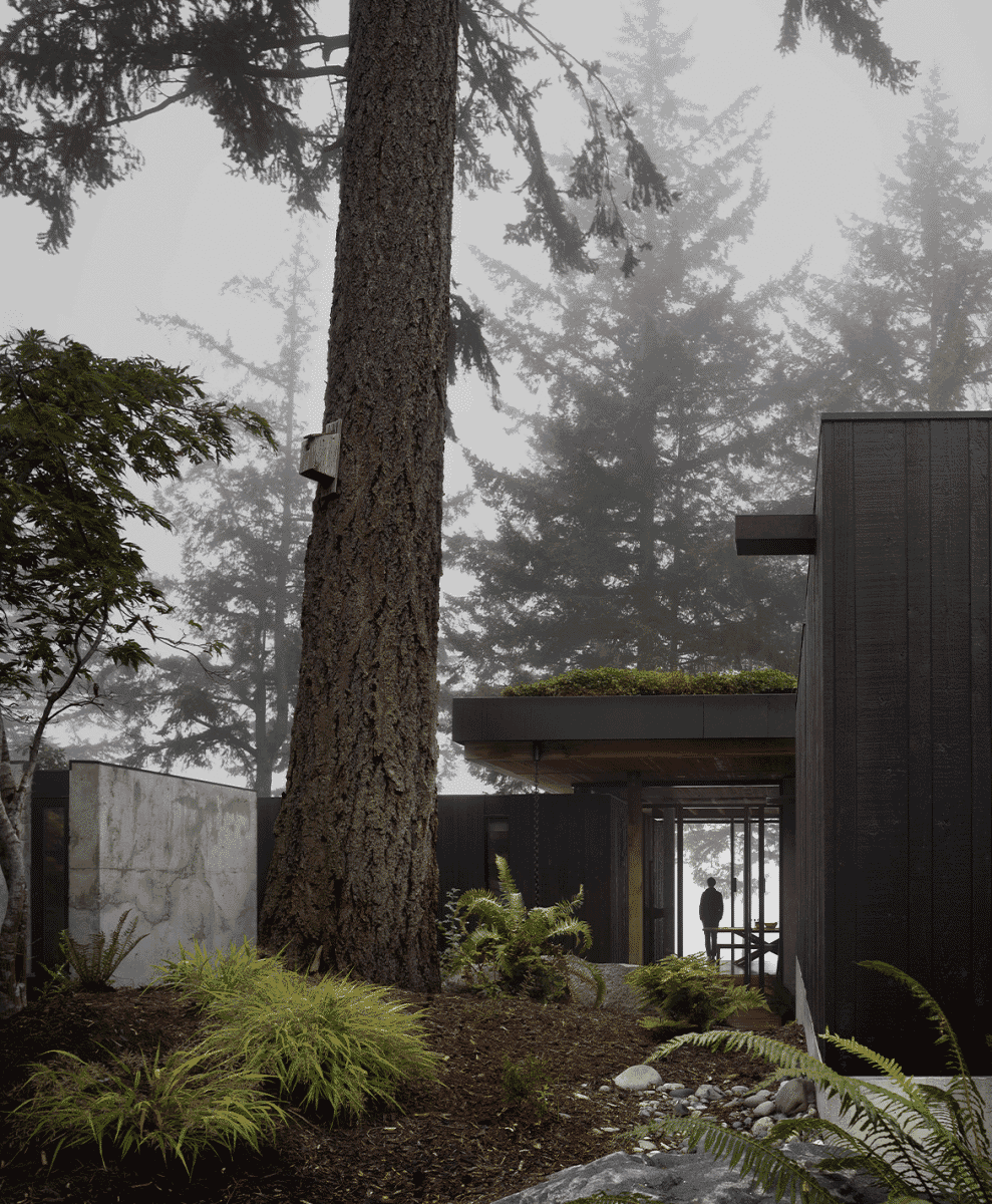 All About the Firs: Longbranch House by mwworks of Seattle