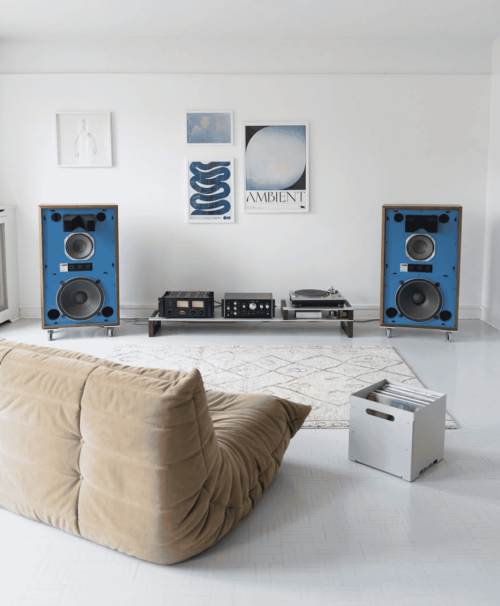 Best Supporting Role: Audio Furniture by Horizon System