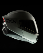 Farewell Air Pollution, Hello ZYON