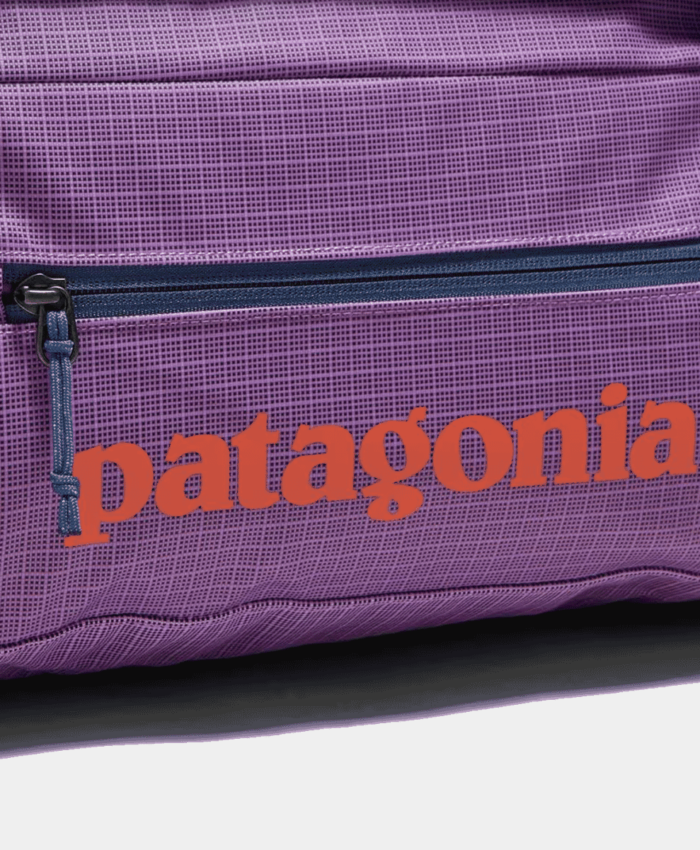 Patagonia Black Hole Duffel
